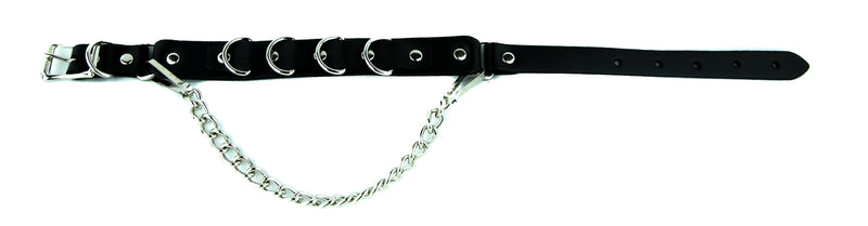 D Ring Boot Strap Single Piece