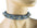 SNAKE SPIKE CHOKER