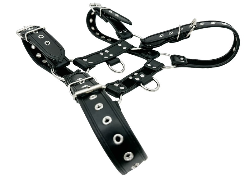Black Pipping Bulldog 4 Buckle Soft Harness