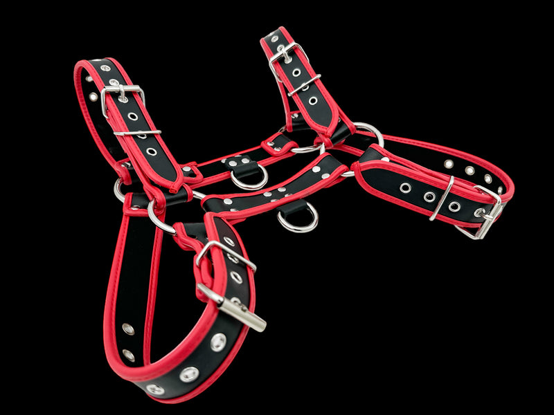Red Pipping Bulldog 4 Buckle Soft Harness