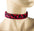 Leopard Animal Plain Choker