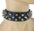Spike Collar