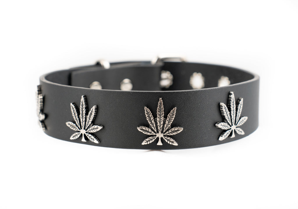 punkaddict.com