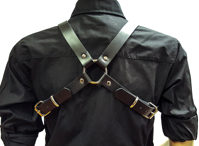 Wide 2" Ring 1 1/4 Leather Harness