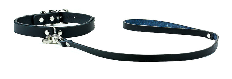 D Ring Choker With Leash