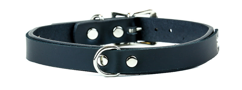 D Ring Choker With Leash