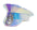 Rainbow Captain Hat