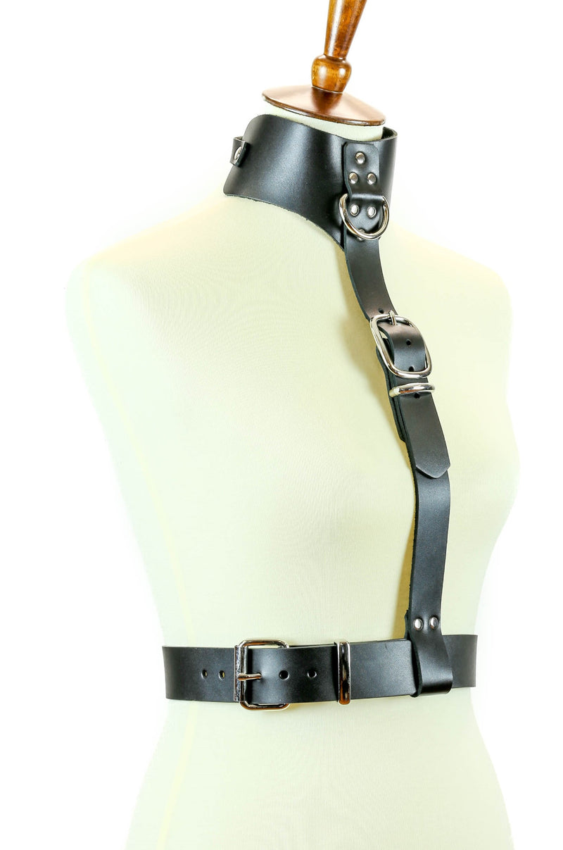 Posture Collar Buckle Harness