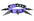 NEON CHOKER