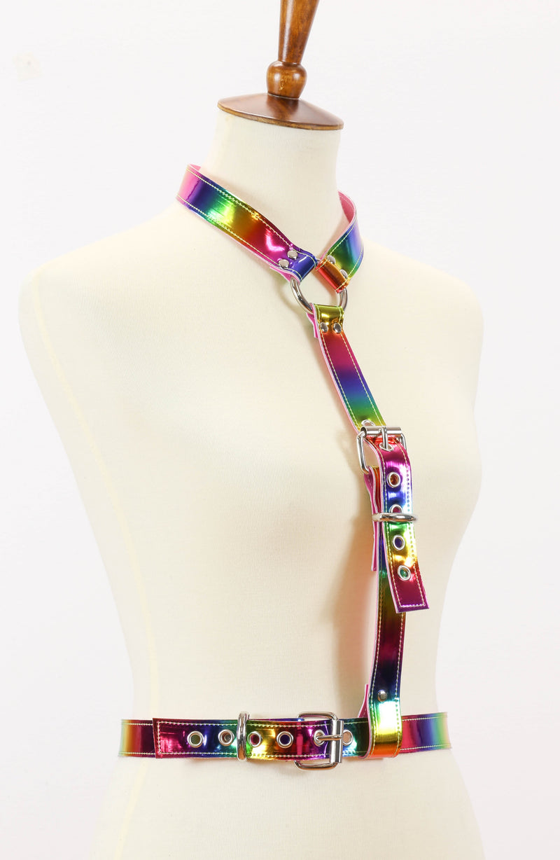 Rainbow Buckle 'Y' Harness With Waist Belt