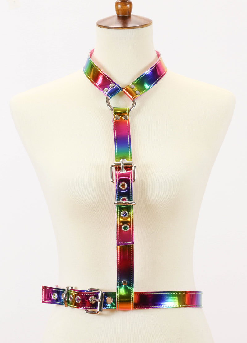Rainbow Buckle 'Y' Harness With Waist Belt